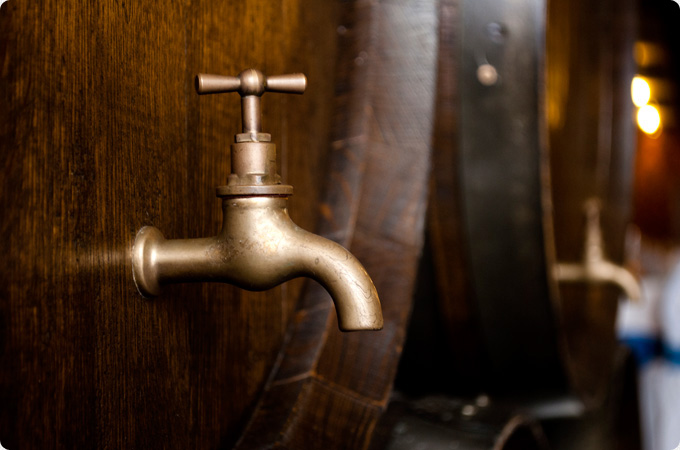 frenzy studio - Salones Brindis photography session