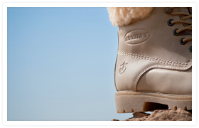 Roobin's photography